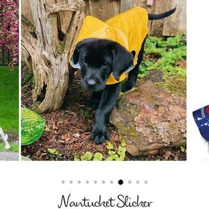 Up Country Yellow Nantucket Dog Slicker/Raincoat, Size 12